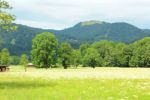 2014-07-05_Laengental-N-Hochweg (165). JPG